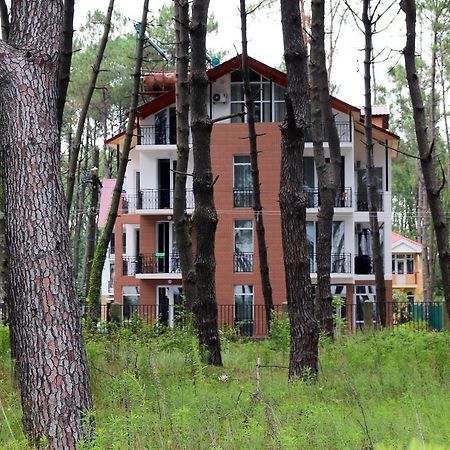 Hotel Gina Shekvetili Exterior foto